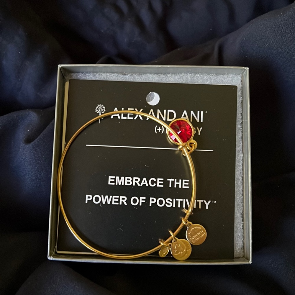 Alex and ani bracelet